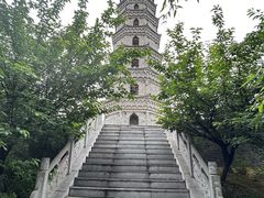 -祥源·阜阳生态乐园