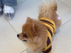 -怪兽屋·羊驼·猫咖·狗咖(俊华广场店)