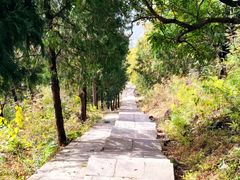 -北京十三陵国家森林公园蟒山景区
