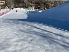 -北京鹿世界主题园