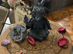 -雪灵魔法世界SHELLY’S TAROT(大良桂畔里店)