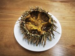 活海胆-海胆小馆(春柳店)