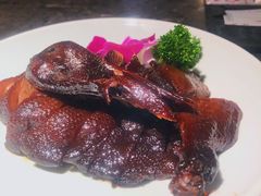 -新白鹿餐厅(金鹰新街口店)