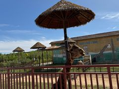 -鄂尔多斯野生动物园