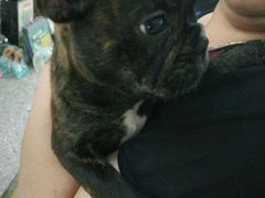 -爱侣宠医·鹦鹉专科·小型哺乳类·异宠专科(灵石路店)