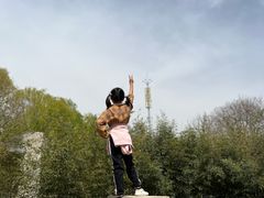 -金星公园