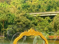 -西双版纳原始森林公园