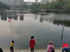 -重庆彩云湖湿地公园