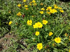 -永定河休闲森林公园