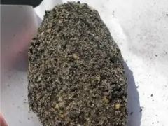 麻糍-叶氏麻糍(鼓浪屿店)