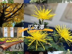 -汇龙潭