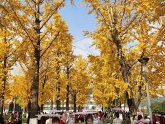 -百林公园-两江幸福广场