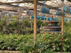 -南宫五洲植物乐园