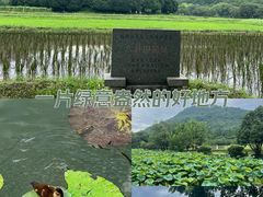 -八卦田遗址公园