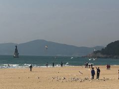 -海云台海滩