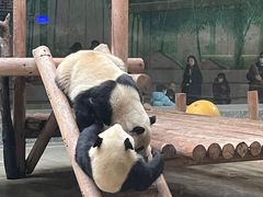 -西安秦岭野生动物园