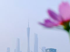 -海珠湖公园