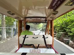 -合肥野生动物园