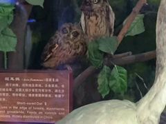 -华中师范大学-图书馆