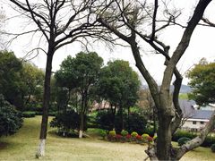 华东疗养院-上海市保健医疗中心(华东疗养院)