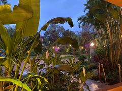 -碧桂园润杨溪谷温泉酒店