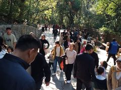 -灵岩山风景区