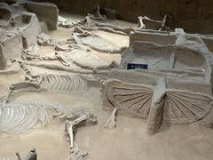 -洛阳周王城天子驾六博物馆