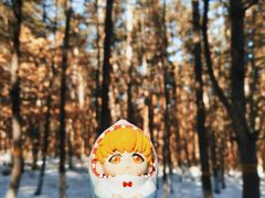 -帽儿山国家森林公园