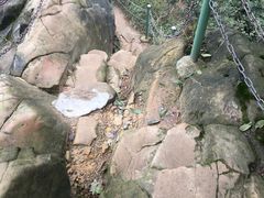 -南山植物园