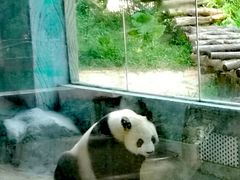 -海南热带野生动植物园