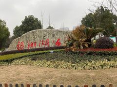 -南翔镇银翔湖公园