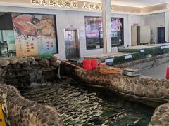 -小北江河鲜(新城店)