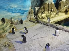 -成都浩海立方海洋公园