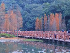 -广州市石门国家森林公园