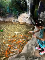 -宝燕乐园(闵行旗舰店)