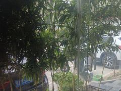 -一江水食府(后湖店)