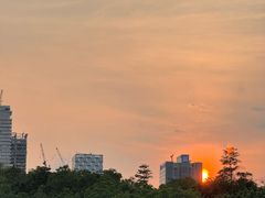 -深圳湾公园(南山区)