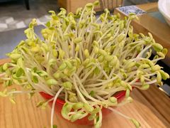 -雾都渣渣火锅(南城智汇城店)