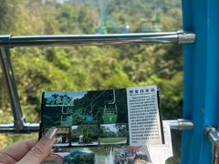 -野象谷景区
