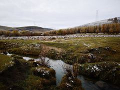 -塞罕坝国家级自然保护区