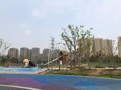-三垟湿地