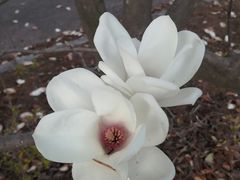 -昆明春城湖畔度假村