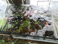 -渔中舟海鲜大排档(普陀沈家门店)