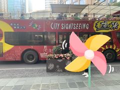 -BUS TOUR观光巴士