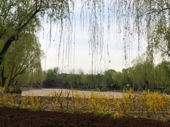-康庄公园