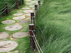 -红花山公园