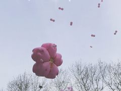 -金茂览秀城