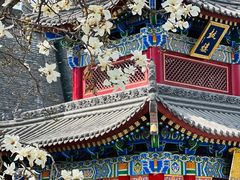 -西安市广仁寺