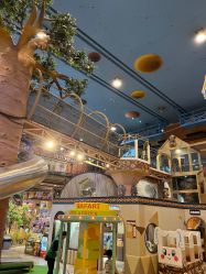 -卡通尼·Safari非洲探索乐园·生日会(金桥国际商业广场店)