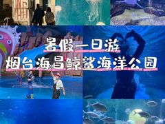-烟台海昌鲸鲨海洋公园